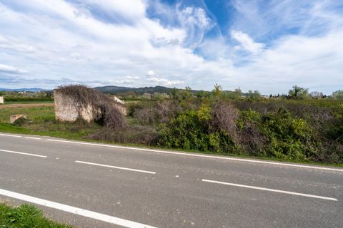 Finca i Tortosa, Tarragona, Tortosa - € 20.000 | Ref: 363 - foto 7