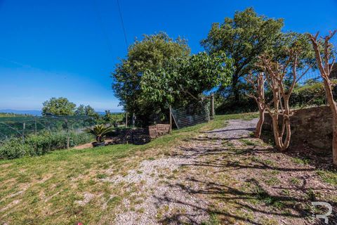 Rækkehus i Scansano, Grosseto, Scansano - € 140.000 | Ref: R07178SCRH - foto 9