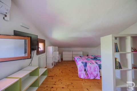 Villa a Grosseto, Grosseto, Grosseto - € 320.000 | Ref: R07177GRVI - foto 19