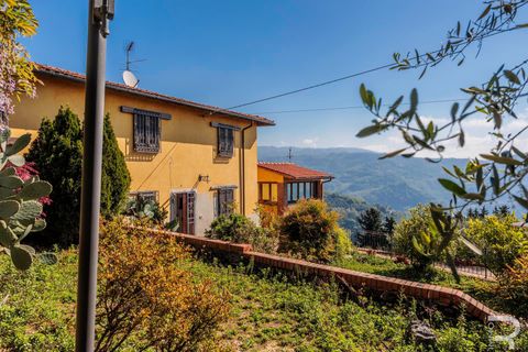 Landejendom i Pescia, Pistoia, Pescia - € 450.000 | Ref: R07185PERU - foto 26