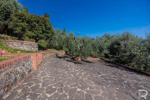 Landejendom i Pescia, Pistoia, Pescia - € 450.000 | Ref: R07185PERU - foto 16