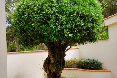 Villa i Moraira, Alicante, Moraira - € 665.000 | Ref: 4234513 - foto 19