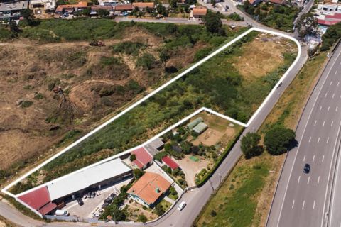 Tomt i Grijo, Porto, Grijo - € 798 000 | Ref: STA_3 - foto 3