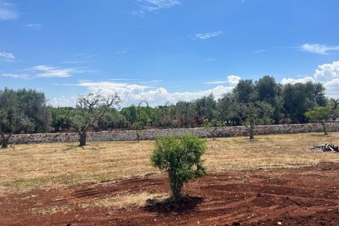 Villa a Ostuni, Brindisi, Ostuni - € 550.000 | Ref: 375 - foto 13