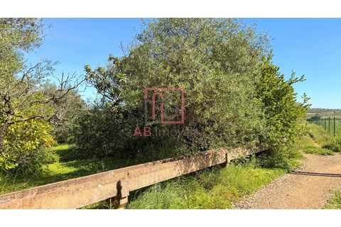 Helårsgrund i Silves, Faro, Silves - € 210.000 | Ref: SÒL_49 - foto 2