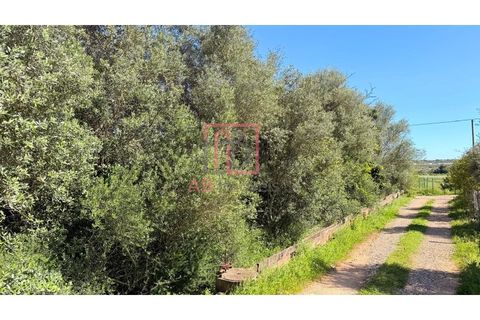 Helårsgrund i Silves, Faro, Silves - € 210.000 | Ref: SÒL_49 - foto 3