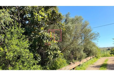 Helårsgrund i Silves, Faro, Silves - € 210.000 | Ref: SÒL_49 - foto 7