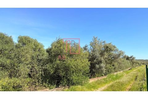 Helårsgrund i Silves, Faro, Silves - € 210.000 | Ref: SÒL_49 - foto 8