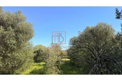 Helårsgrund i Silves, Faro, Silves - € 210.000 | Ref: SÒL_49 - foto 9