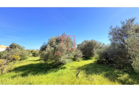 Helårsgrund i Silves, Faro, Silves - € 210.000 | Ref: SÒL_49 - foto 10