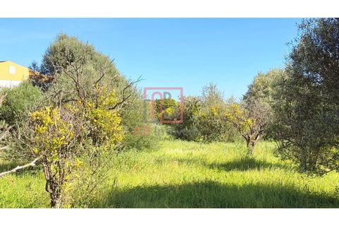 Helårsgrund i Silves, Faro, Silves - € 210.000 | Ref: SÒL_49 - foto 11