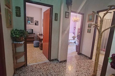 L'establiment comercial a Ceccano, Frosinone, Ceccano - € 119.000 | Ref: 2195 - foto 15