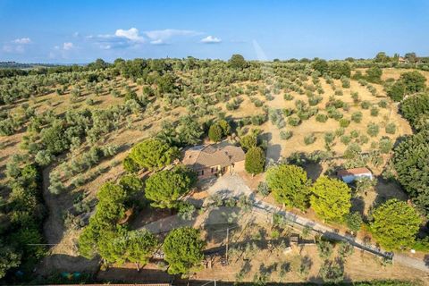 Villa i Cortona, Arezzo, Cortona - € 478.000 | Ref: a1190rv75647 - foto 5