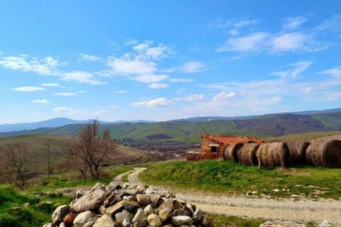 Farm hus i Radicofani, Siena, Radicofani - € 400.000 | Ref: a2617ta2551676a - foto 16