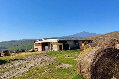 Farm hus i Radicofani, Siena, Radicofani - € 400.000 | Ref: a2617ta2551676a - foto 17