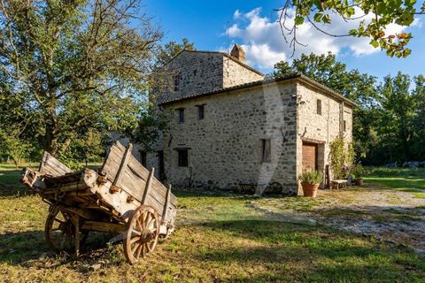 Farm hus i Todi, Perugia, Todi - € 1.285.000 | Ref: a1190rc24476 - foto 2