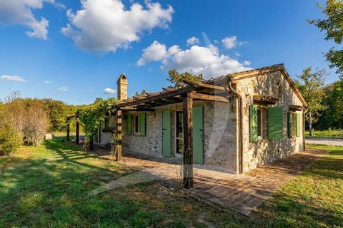 Farm hus i Todi, Perugia, Todi - € 1.285.000 | Ref: a1190rc24476 - foto 20