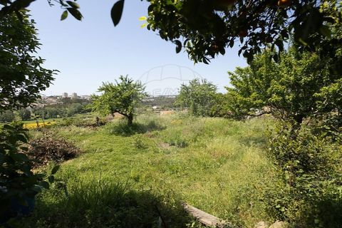 Villa i Maia, Porto, Maia - € 289.000 | Ref: 120781286-83 - foto 15