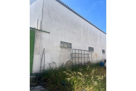 Erhvervsejendom i Beja, Beja, Beja - € 289.000 | Ref: OR99183EW - foto 5