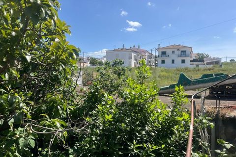 Landejendom i Beja, Beja, Beja - € 145.000 | Ref: OR99174EW - foto 2