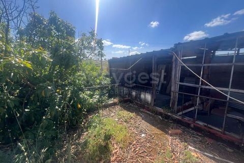 Landejendom i Beja, Beja, Beja - € 145.000 | Ref: OR99174EW - foto 6
