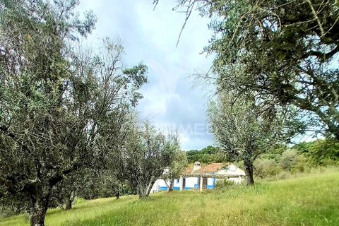 Farm hus i Redondo, Evora, Redondo - € 480.000 | Ref: 060398 - foto 9