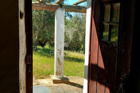 Farm hus i Redondo, Evora, Redondo - € 480.000 | Ref: 060398 - foto 10