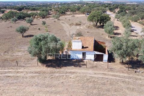 Farm hus i Mora, Evora, Mora - € 63.500 | Ref: 058396 - foto 7