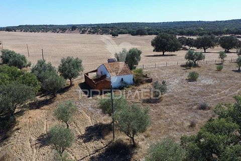 Farm hus i Mora, Evora, Mora - € 63.500 | Ref: 058396 - foto 9