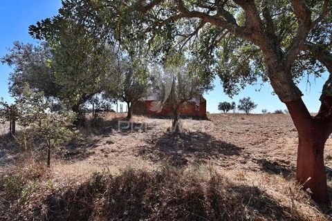 Farm hus i Mora, Evora, Mora - € 63.500 | Ref: 058396 - foto 10