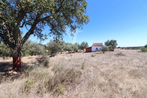 Farm hus i Mora, Evora, Mora - € 63.500 | Ref: 058396 - foto 11