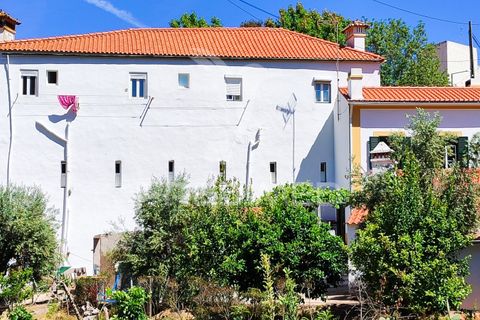 Byhus i Castelo de Vide, Portalegre, Castelo de Vide - € 280.000 | Ref: 058442 - foto 29