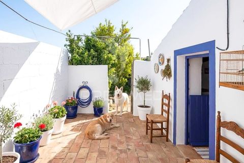 Byhus i Mertola, Beja, Mertola - € 44.990 | Ref: 059949 - foto 19