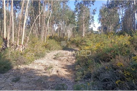 Helårsgrund i Maia, Porto, Maia - € 450.000 | Ref: 059989 - foto 2