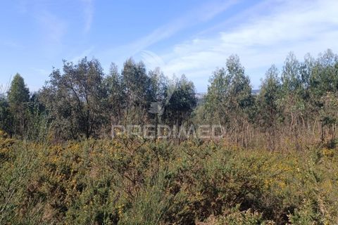 Helårsgrund i Maia, Porto, Maia - € 450.000 | Ref: 059989 - foto 4