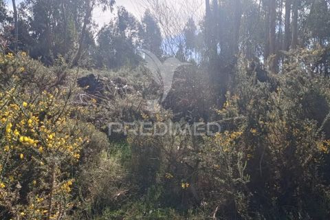 Helårsgrund i Maia, Porto, Maia - € 450.000 | Ref: 059989 - foto 5