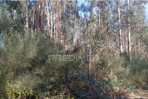 Helårsgrund i Maia, Porto, Maia - € 450.000 | Ref: 059989 - foto 7