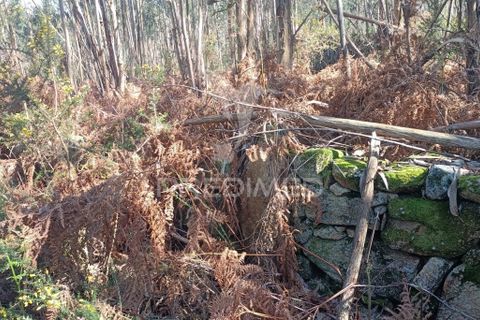 Helårsgrund i Maia, Porto, Maia - € 450.000 | Ref: 059989 - foto 9