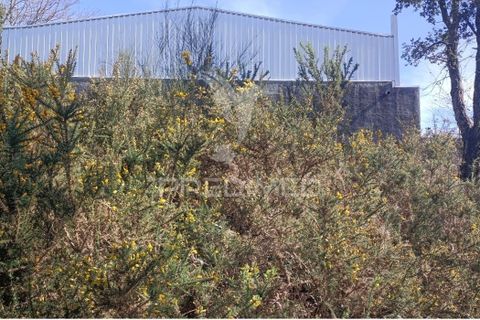 Helårsgrund i Maia, Porto, Maia - € 450.000 | Ref: 059989 - foto 11
