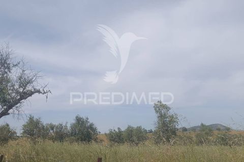 Terra a Nisa, Portalegre, Nisa - € 10.000 | Ref: 060127 - foto 2