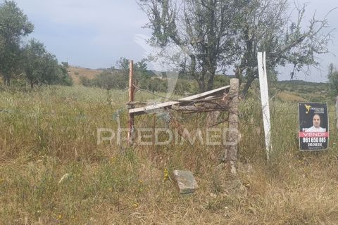 Terra a Nisa, Portalegre, Nisa - € 10.000 | Ref: 060127 - foto 5