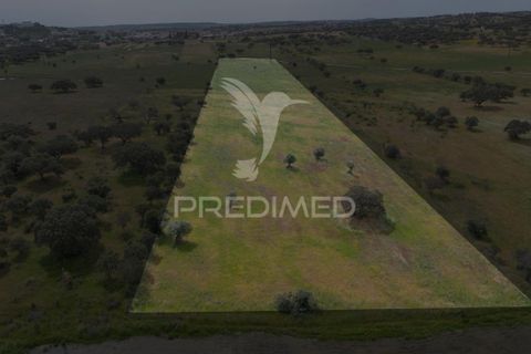 Terra a Alandroal, Evora, Alandroal - € 40.000 | Ref: 060154 - foto 2
