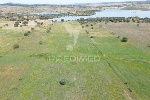 Terra a Alandroal, Evora, Alandroal - € 40.000 | Ref: 060154 - foto 5