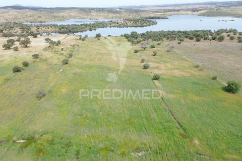 Terra a Alandroal, Evora, Alandroal - € 40.000 | Ref: 060154 - foto 6