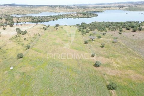 Terra a Alandroal, Evora, Alandroal - € 40.000 | Ref: 060154 - foto 7