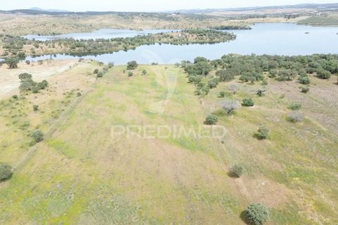 Terra a Alandroal, Evora, Alandroal - € 40.000 | Ref: 060154 - foto 8