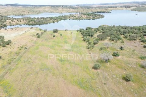 Terra a Alandroal, Evora, Alandroal - € 40.000 | Ref: 060154 - foto 9