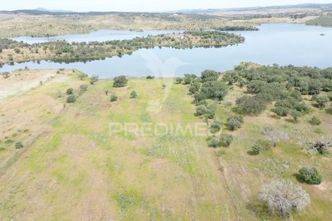 Terra a Alandroal, Evora, Alandroal - € 40.000 | Ref: 060154 - foto 10
