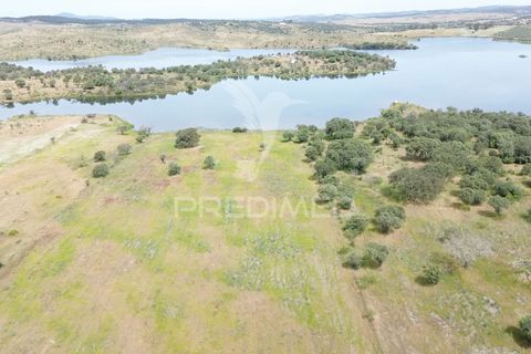 Terra a Alandroal, Evora, Alandroal - € 40.000 | Ref: 060154 - foto 11