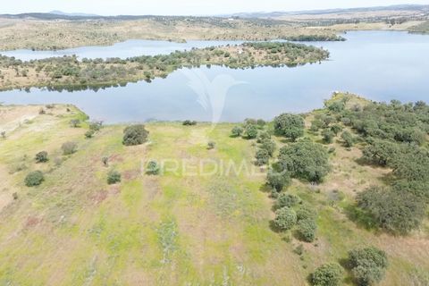 Terra a Alandroal, Evora, Alandroal - € 40.000 | Ref: 060154 - foto 12